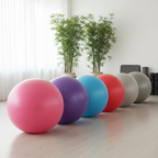 Ballon Pilates - Swiss Ball - 55 cm